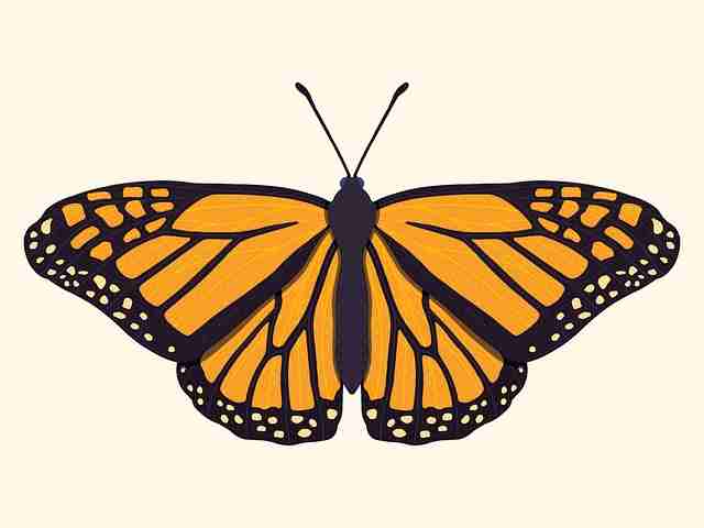 鉴黄师官网傍晚警示案例全记录——粉丝文化深度解析