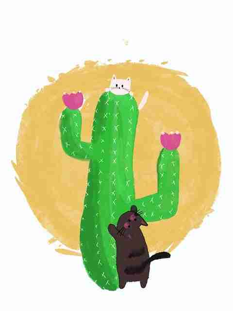 黑料网入口回应某综艺节目内幕终极真相事件全貌升级版