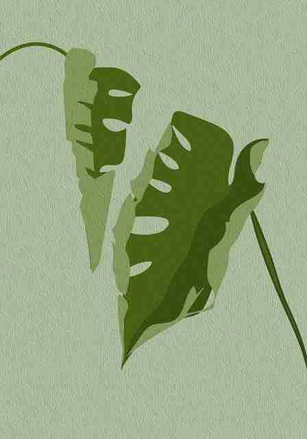 黑料资源曝光明星代言翻车现场