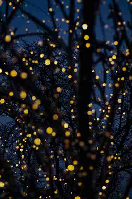 海角社区app下载｜光影交错聚焦关键节点 收藏级